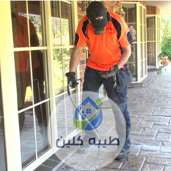 شركة مكافحة حشرات بالدمام